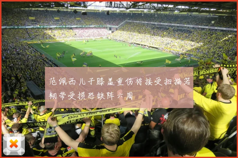 范佩西儿子膝盖重伤将接受扫描若韧带受损恐缺阵六周