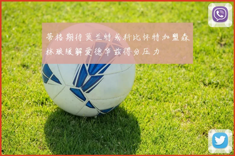 蒂格期待莫兰特或科比怀特加盟森林狼缓解爱德华兹得分压力