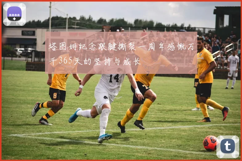 塔图姆纪念跟腱撕裂一周年感慨万千365天的坚持与成长