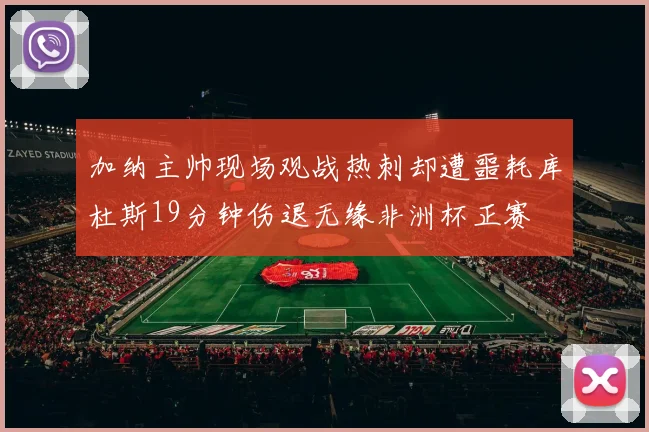加纳主帅现场观战热刺却遭噩耗库杜斯19分钟伤退无缘非洲杯正赛