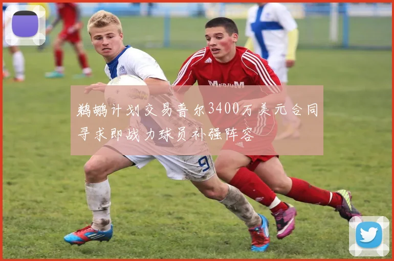 鹈鹕计划交易普尔3400万美元合同寻求即战力球员补强阵容
